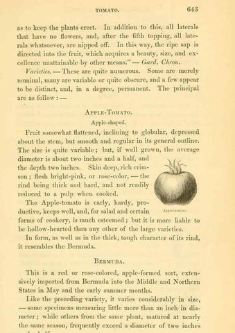 Reproducción/Reproduction 6002102767: The field and garden vegetables of America Boston,Crosby and Nichols,1863
