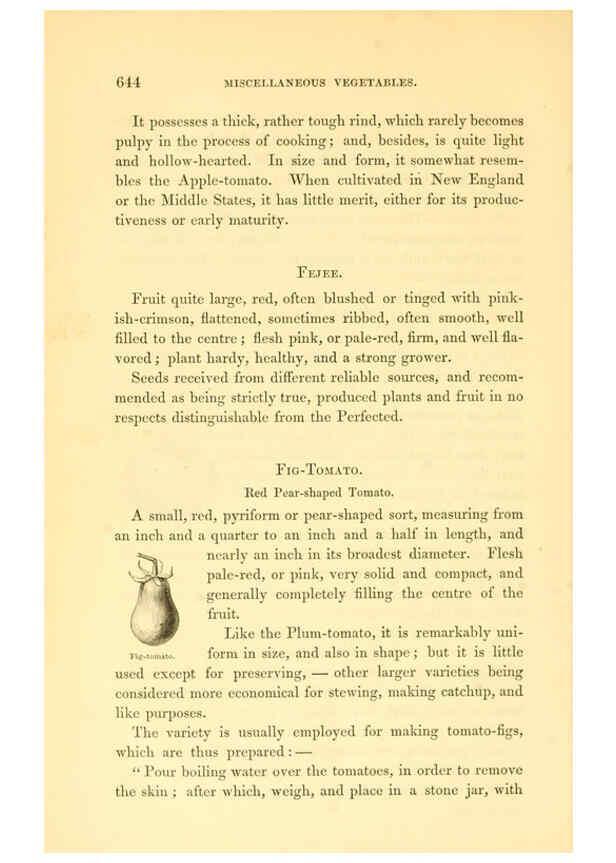 Reproducción/Reproduction 6002649982: The field and garden vegetables of America Boston,Crosby and Nichols,1863