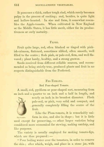 Reproducción/Reproduction 6002649982: The field and garden vegetables of America Boston,Crosby and Nichols,1863