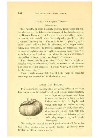 Reproducción/Reproduction 6002650354: The field and garden vegetables of America Boston,Crosby and Nichols,1863