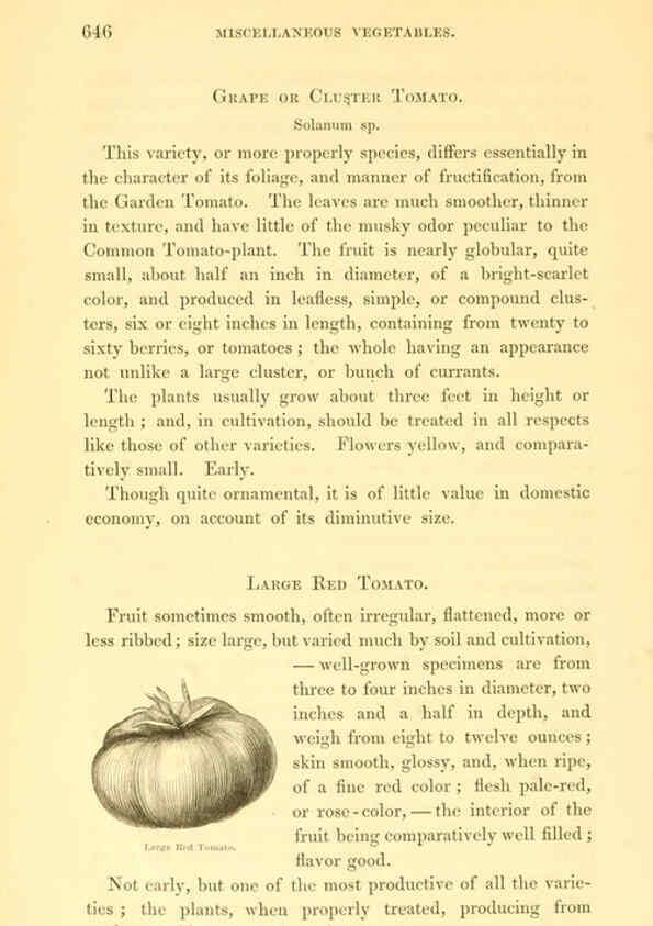Reproducción/Reproduction 6002650354: The field and garden vegetables of America Boston,Crosby and Nichols,1863