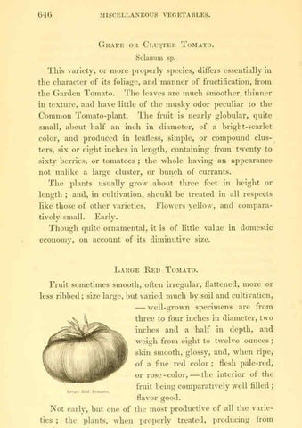 Reproducción/Reproduction 6002650354: The field and garden vegetables of America Boston,Crosby and Nichols,1863