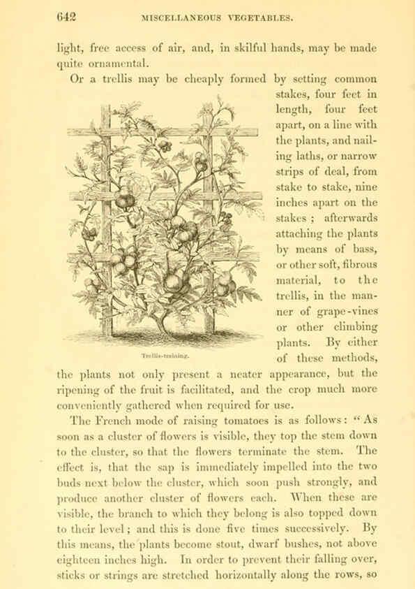 Reproducción/Reproduction 6002649348: The field and garden vegetables of America Boston,Crosby and Nichols,1863