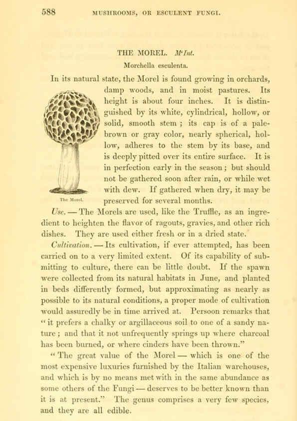 Reproducción/Reproduction 6002645308: The field and garden vegetables of America Boston,Crosby and Nichols,1863
