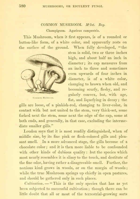 Reproducción/Reproduction 6002644946: The field and garden vegetables of America Boston,Crosby and Nichols,1863