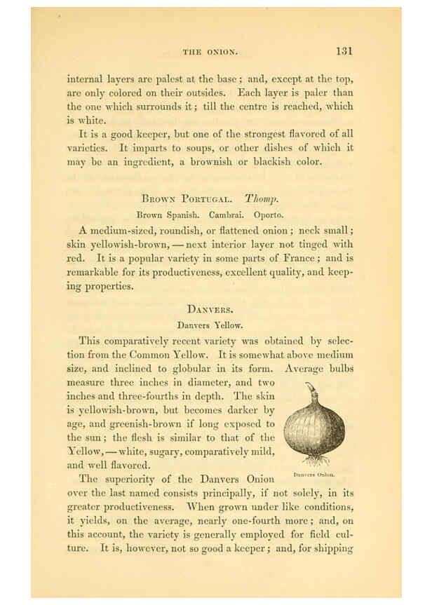 Reproducción/Reproduction 6002092623: The field and garden vegetables of America Boston,Crosby and Nichols,1863