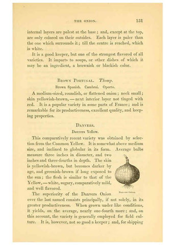 Reproducción/Reproduction 6002092623: The field and garden vegetables of America Boston,Crosby and Nichols,1863