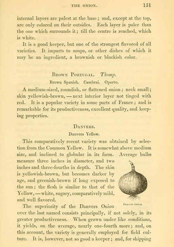 Reproducción/Reproduction 6002092623: The field and garden vegetables of America Boston,Crosby and Nichols,1863