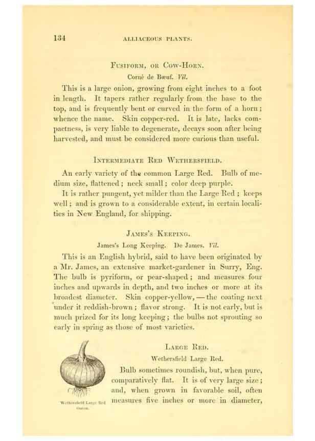 Reproducción/Reproduction 6002092903: The field and garden vegetables of America Boston,Crosby and Nichols,1863