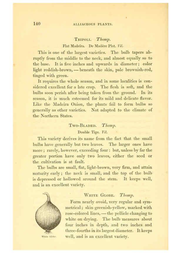 Reproducción/Reproduction 6002093135: The field and garden vegetables of America Boston,Crosby and Nichols,1863