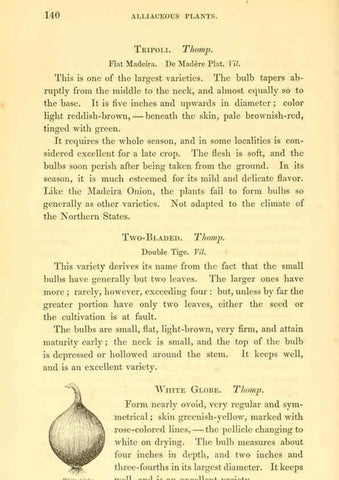 Reproducción/Reproduction 6002093135: The field and garden vegetables of America Boston,Crosby and Nichols,1863