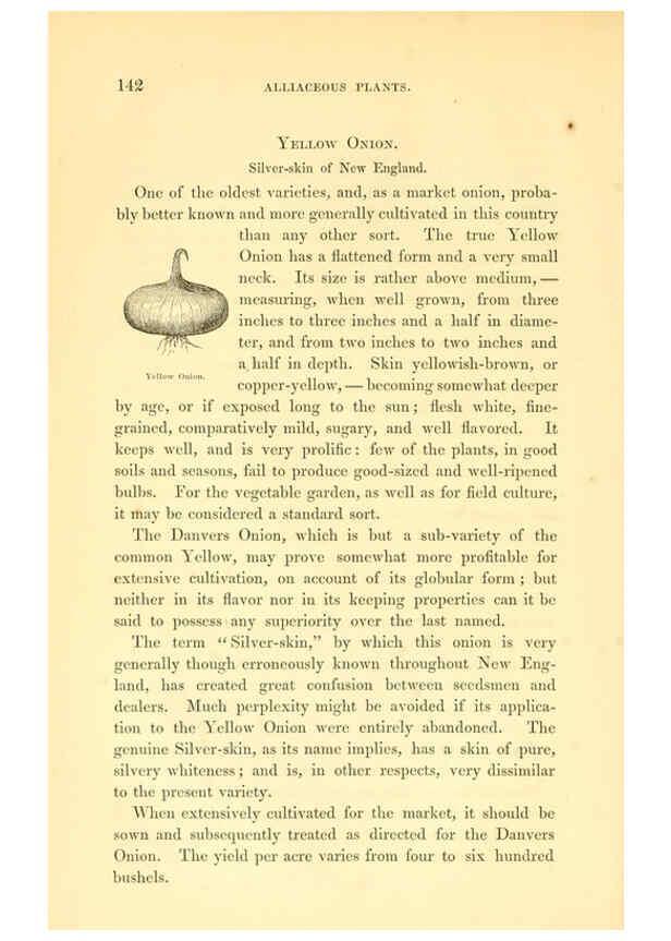 Reproducción/Reproduction 6002640318: The field and garden vegetables of America Boston,Crosby and Nichols,1863
