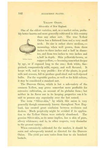 Reproducción/Reproduction 6002640318: The field and garden vegetables of America Boston,Crosby and Nichols,1863