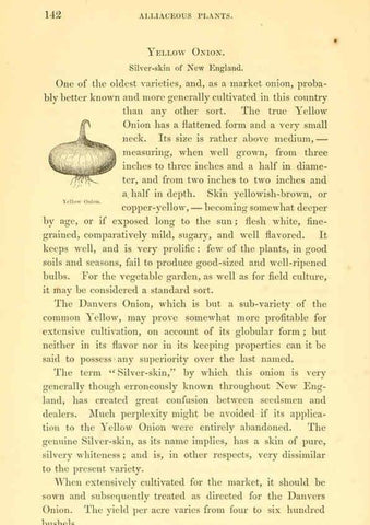 Reproducción/Reproduction 6002640318: The field and garden vegetables of America Boston,Crosby and Nichols,1863