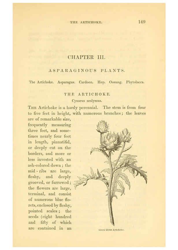Reproducción/Reproduction 6002093625: The field and garden vegetables of America Boston,Crosby and Nichols,1863