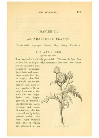 Reproducción/Reproduction 6002093625: The field and garden vegetables of America Boston,Crosby and Nichols,1863