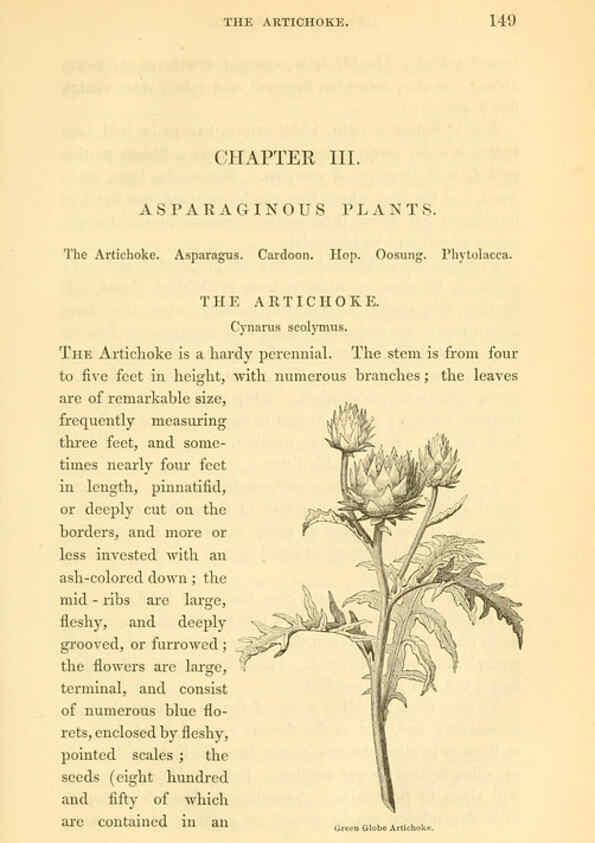 Reproducción/Reproduction 6002093625: The field and garden vegetables of America Boston,Crosby and Nichols,1863