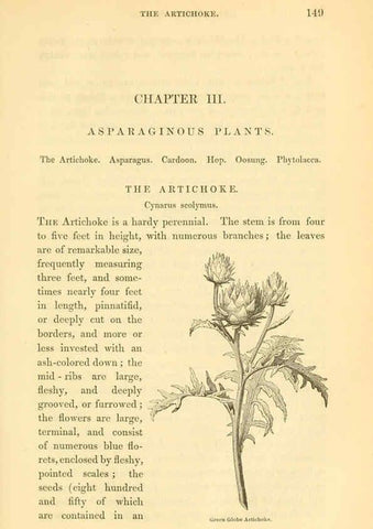 Reproducción/Reproduction 6002093625: The field and garden vegetables of America Boston,Crosby and Nichols,1863