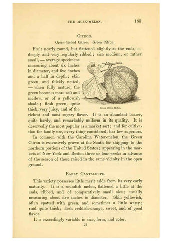 Reproducción/Reproduction 6002640882: The field and garden vegetables of America Boston,Crosby and Nichols,1863