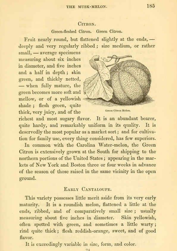Reproducción/Reproduction 6002640882: The field and garden vegetables of America Boston,Crosby and Nichols,1863