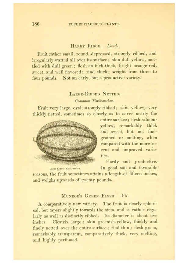 Reproducción/Reproduction 6002094187: The field and garden vegetables of America Boston,Crosby and Nichols,1863