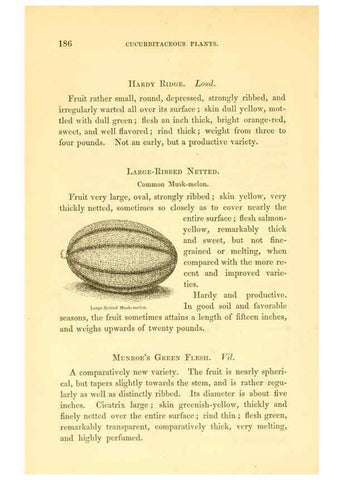 Reproducción/Reproduction 6002094187: The field and garden vegetables of America Boston,Crosby and Nichols,1863