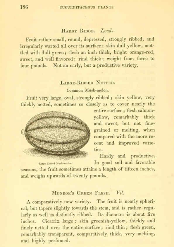Reproducción/Reproduction 6002094187: The field and garden vegetables of America Boston,Crosby and Nichols,1863