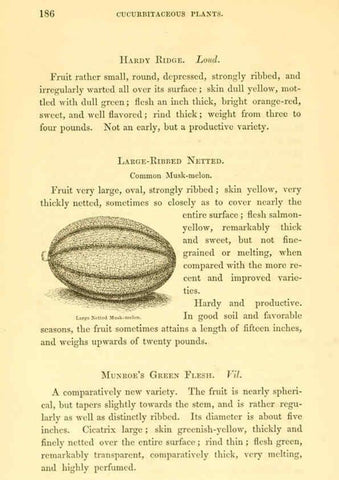 Reproducción/Reproduction 6002094187: The field and garden vegetables of America Boston,Crosby and Nichols,1863