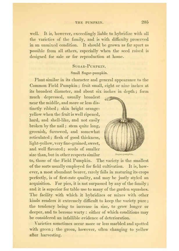 Reproducción/Reproduction 6002641544: The field and garden vegetables of America Boston,Crosby and Nichols,1863