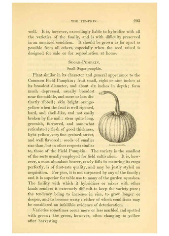Reproducción/Reproduction 6002641544: The field and garden vegetables of America Boston,Crosby and Nichols,1863