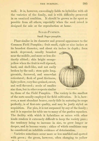 Reproducción/Reproduction 6002641544: The field and garden vegetables of America Boston,Crosby and Nichols,1863
