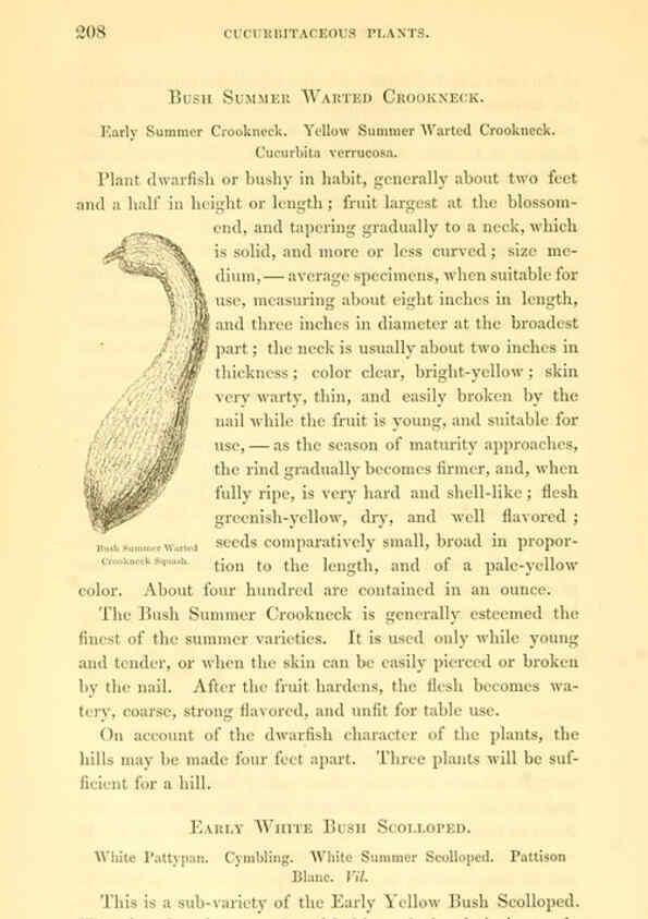 Reproducción/Reproduction 6002641890: The field and garden vegetables of America Boston,Crosby and Nichols,1863