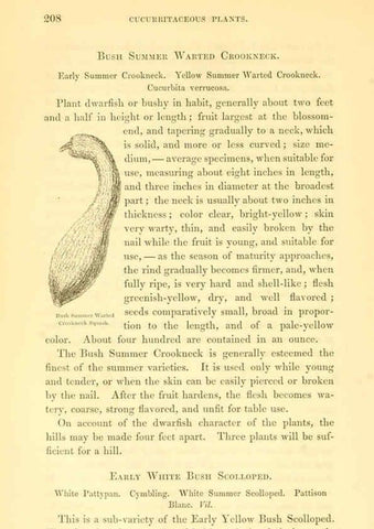 Reproducción/Reproduction 6002641890: The field and garden vegetables of America Boston,Crosby and Nichols,1863