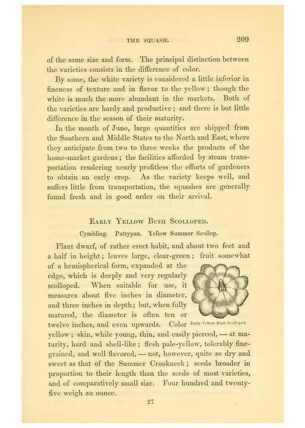 Reproducción/Reproduction 6002095285: The field and garden vegetables of America Boston,Crosby and Nichols,1863