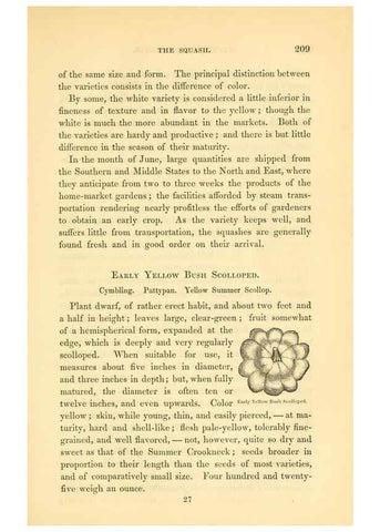 Reproducción/Reproduction 6002095285: The field and garden vegetables of America Boston,Crosby and Nichols,1863