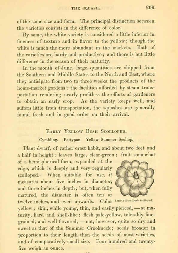 Reproducción/Reproduction 6002095285: The field and garden vegetables of America Boston,Crosby and Nichols,1863
