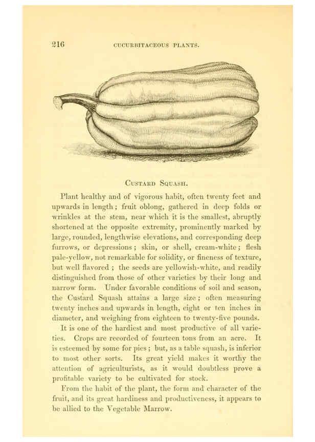 Reproducción/Reproduction 6002095743: The field and garden vegetables of America Boston,Crosby and Nichols,1863
