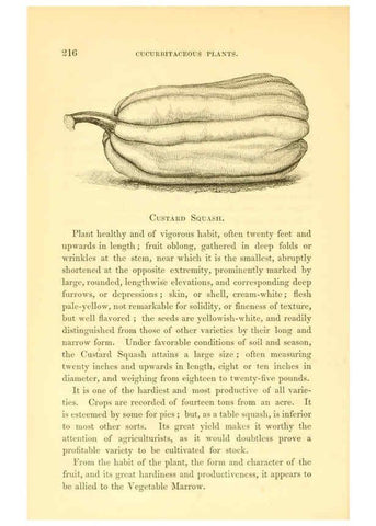 Reproducción/Reproduction 6002095743: The field and garden vegetables of America Boston,Crosby and Nichols,1863