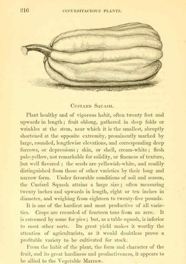 Reproducción/Reproduction 6002095743: The field and garden vegetables of America Boston,Crosby and Nichols,1863