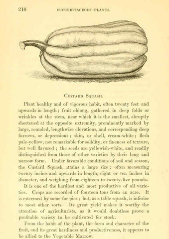 Reproducción/Reproduction 6002095743: The field and garden vegetables of America Boston,Crosby and Nichols,1863