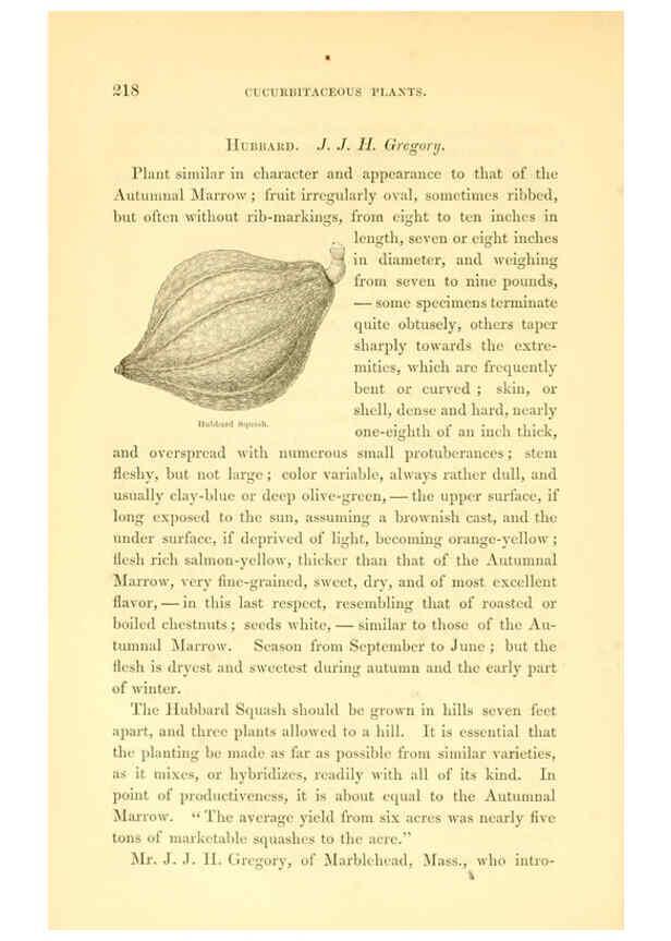 Reproducción/Reproduction 6002643258: The field and garden vegetables of America Boston,Crosby and Nichols,1863