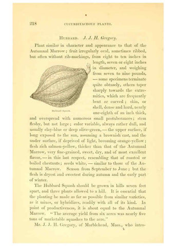 Reproducción/Reproduction 6002643258: The field and garden vegetables of America Boston,Crosby and Nichols,1863