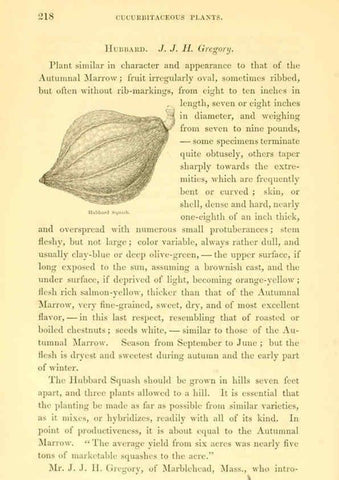 Reproducción/Reproduction 6002643258: The field and garden vegetables of America Boston,Crosby and Nichols,1863