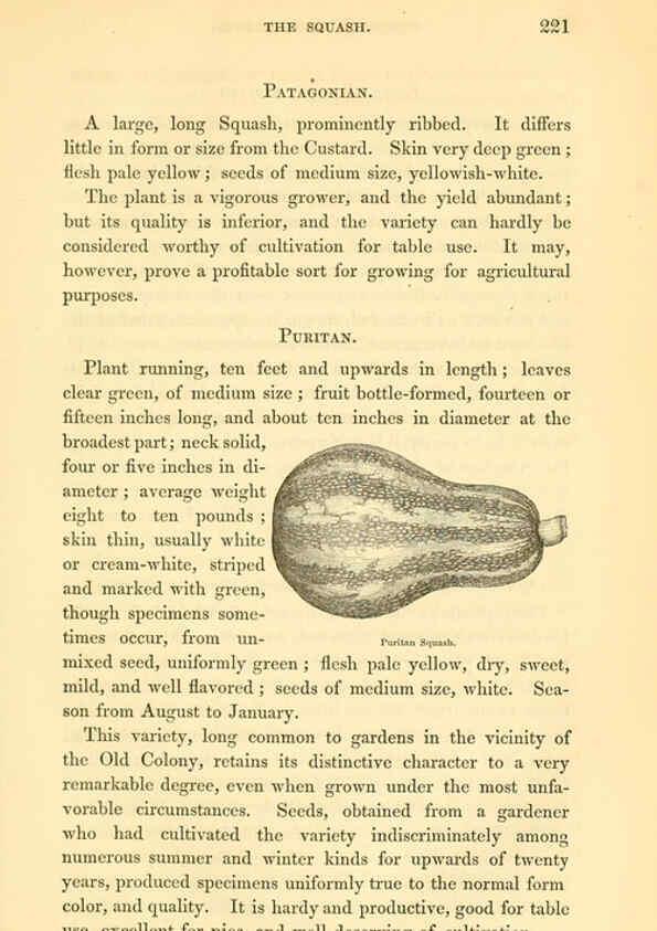 Reproducción/Reproduction 6002096889: The field and garden vegetables of America Boston,Crosby and Nichols,1863