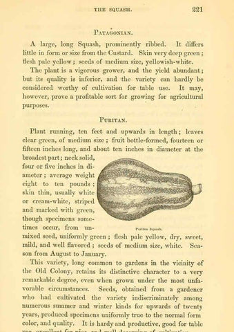 Reproducción/Reproduction 6002096889: The field and garden vegetables of America Boston,Crosby and Nichols,1863