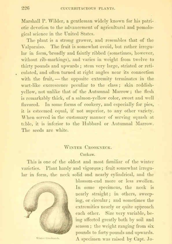 Reproducción/Reproduction 6002644180: The field and garden vegetables of America Boston,Crosby and Nichols,1863