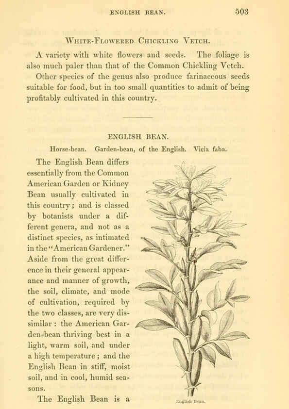 Reproducción/Reproduction 6002097871: The field and garden vegetables of America Boston,Crosby and Nichols,1863