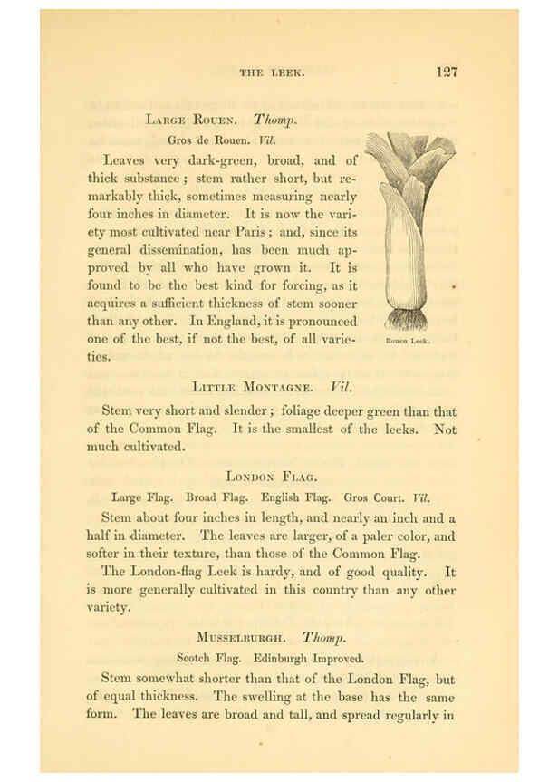 Reproducción/Reproduction 6002092363: The field and garden vegetables of America Boston,Crosby and Nichols,1863