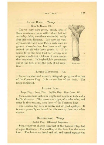 Reproducción/Reproduction 6002092363: The field and garden vegetables of America Boston,Crosby and Nichols,1863