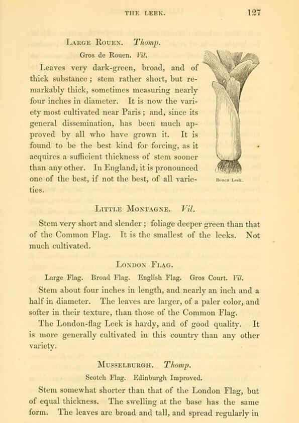 Reproducción/Reproduction 6002092363: The field and garden vegetables of America Boston,Crosby and Nichols,1863